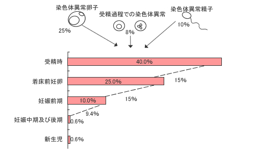 流産と染色体異常