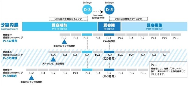 ERA検査の方法